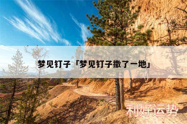 梦见钉子及梦见钉子撒了一地