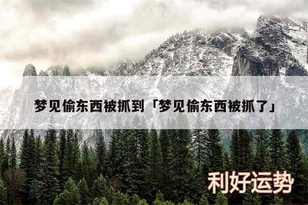 梦见偷东西被抓到及梦见偷东西被抓了