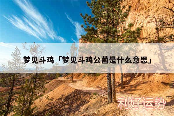 梦见斗鸡及梦见斗鸡公菌是什么意思