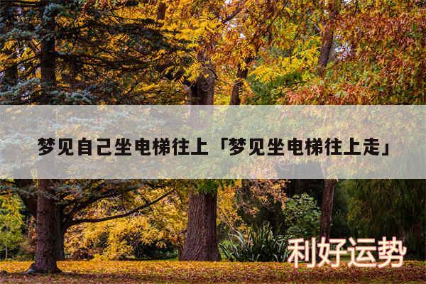 梦见自己坐电梯往上及梦见坐电梯往上走