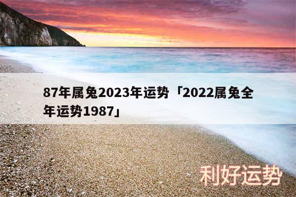 87年属兔2024年运势及2024属兔全年运势1987