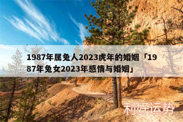 1987年属兔人2024虎年的婚姻及1987年兔女2024年感情与婚姻