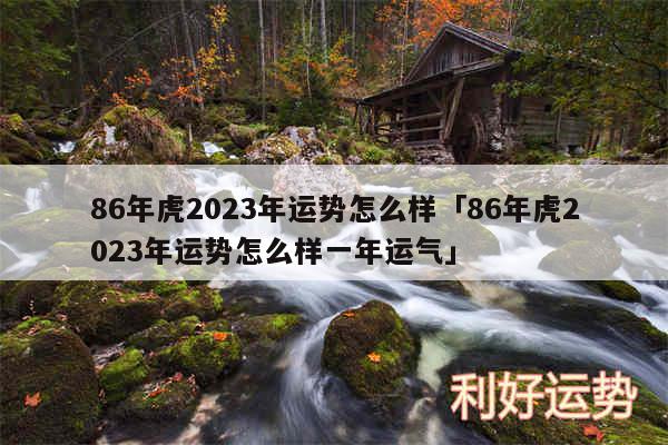 86年虎2024年运势怎么样及86年虎2024年运势怎么样一年运气