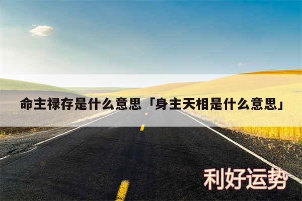 命主禄存是什么意思及身主天相是什么意思