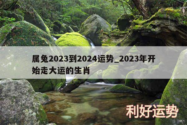 属兔2024到2024运势_2024年开始走大运的生肖