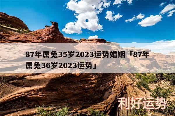 87年属兔35岁2024运势婚姻及87年属兔36岁2024运势