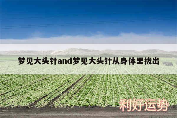 梦见大头针and梦见大头针从身体里拔出