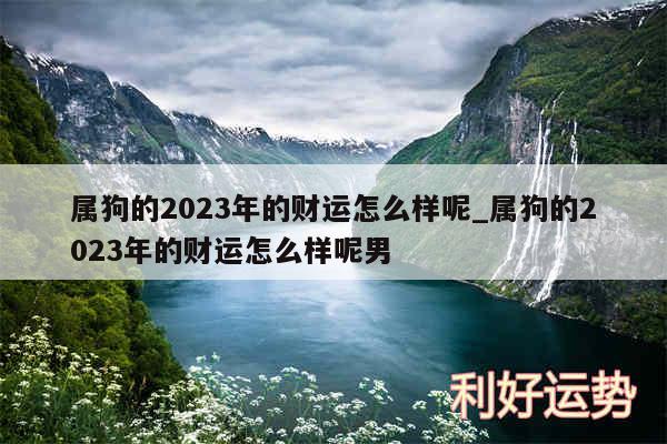 属狗的2024年的财运怎么样呢_属狗的2024年的财运怎么样呢男