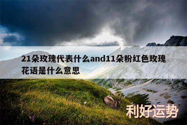 21朵玫瑰代表什么and11朵粉红色玫瑰花语是什么意思