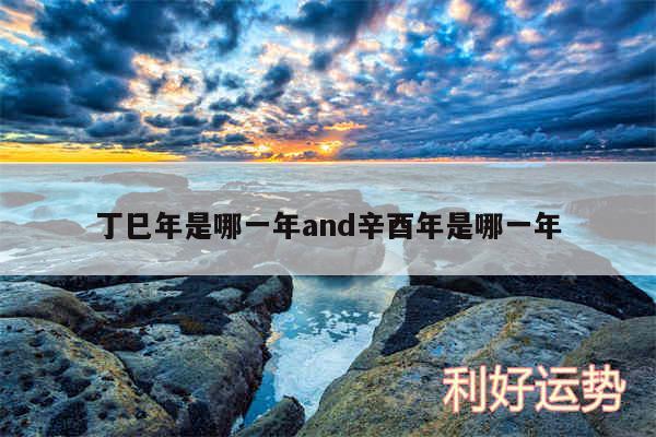 丁巳年是哪一年and辛酉年是哪一年