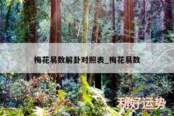 梅花易数解卦对照表_梅花易数