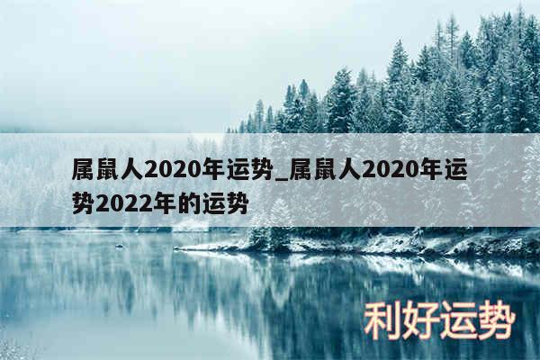 属鼠人2020年运势_属鼠人2020年运势2024年的运势