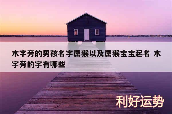 木字旁的男孩名字属猴以及属猴宝宝起名 木字旁的字有哪些