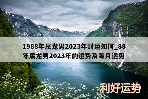 1988年属龙男2024年财运如何_88年属龙男2024年的运势及每月运势