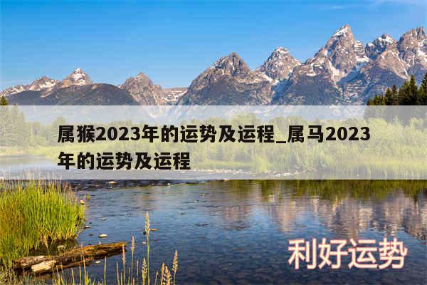 属猴2024年的运势及运程_属马2024年的运势及运程