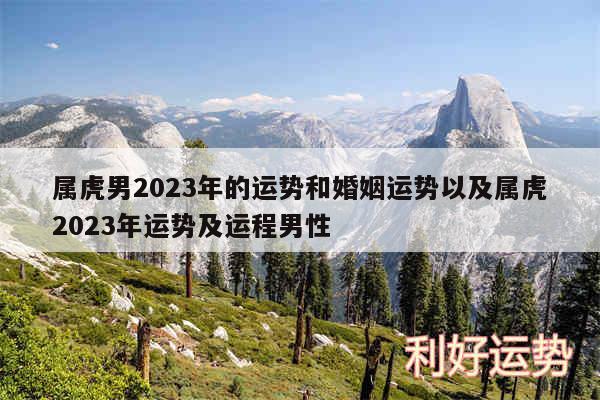属虎男2024年的运势和婚姻运势以及属虎2024年运势及运程男性