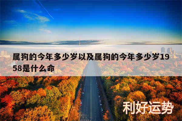 属狗的今年多少岁以及属狗的今年多少岁1958是什么命