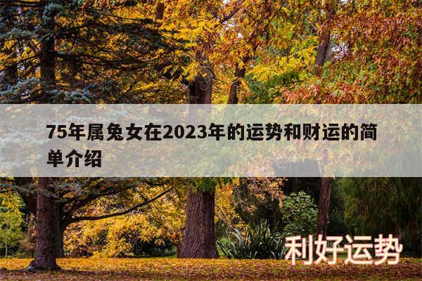 75年属兔女在2024年的运势和财运的简单介绍