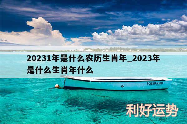 20241年是什么农历生肖年_2024年是什么生肖年什么