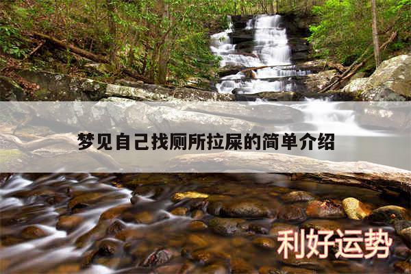 梦见自己找厕所拉屎的简单介绍