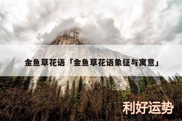 金鱼草花语及金鱼草花语象征与寓意