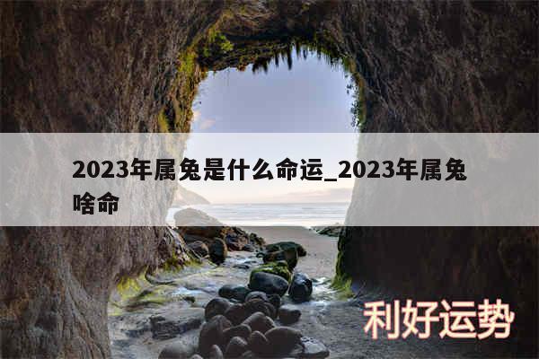 2024年属兔是什么命运_2024年属兔啥命