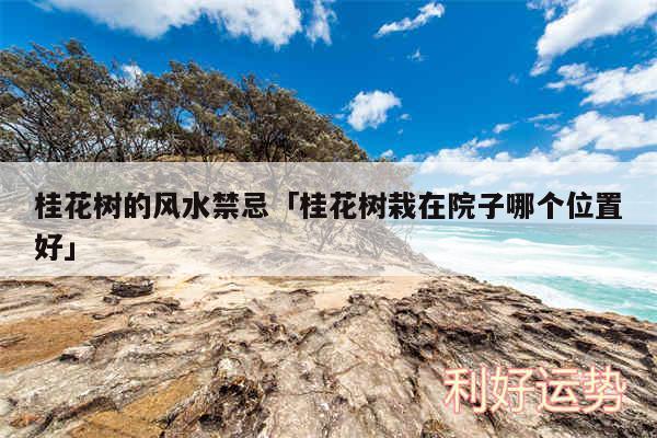 桂花树的风水禁忌及桂花树栽在院子哪个位置好