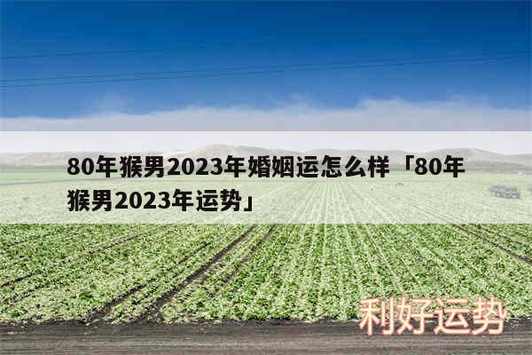 80年猴男2024年婚姻运怎么样及80年猴男2024年运势
