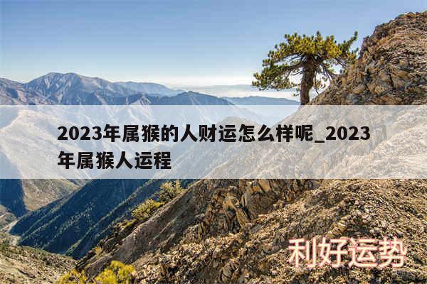 2024年属猴的人财运怎么样呢_2024年属猴人运程