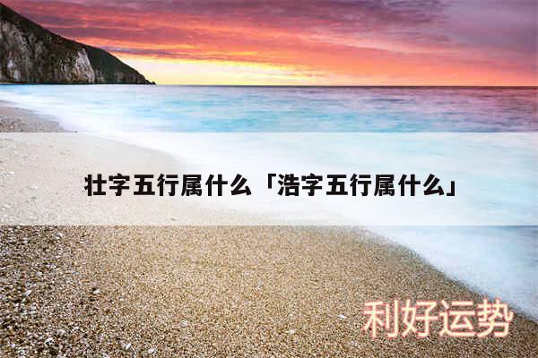 壮字五行属什么及浩字五行属什么