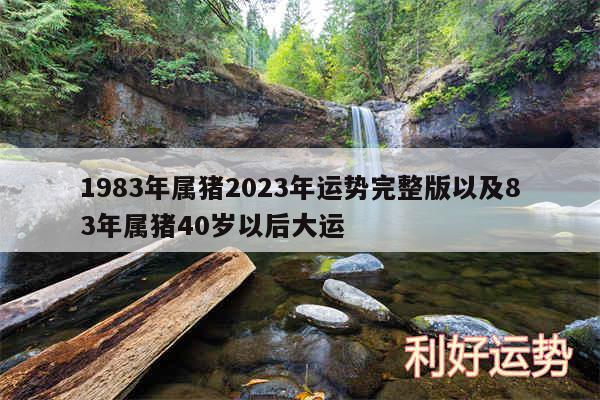 1983年属猪2024年运势完整版以及83年属猪40岁以后大运