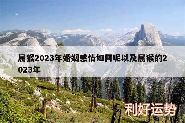 属猴2024年婚姻感情如何呢以及属猴的2024年