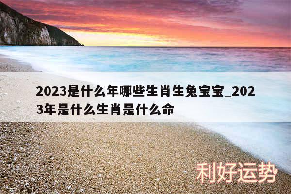 2024是什么年哪些生肖生兔宝宝_2024年是什么生肖是什么命