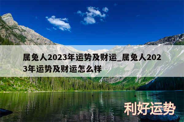 属兔人2024年运势及财运_属兔人2024年运势及财运怎么样