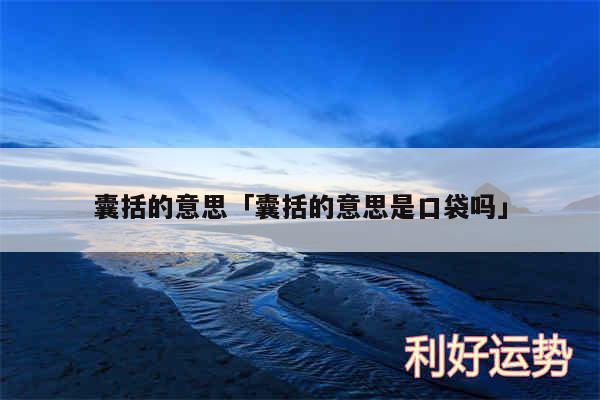 囊括的意思及囊括的意思是口袋吗