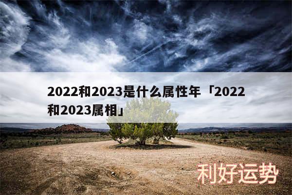 2024和2024是什么属性年及2024和2024属相