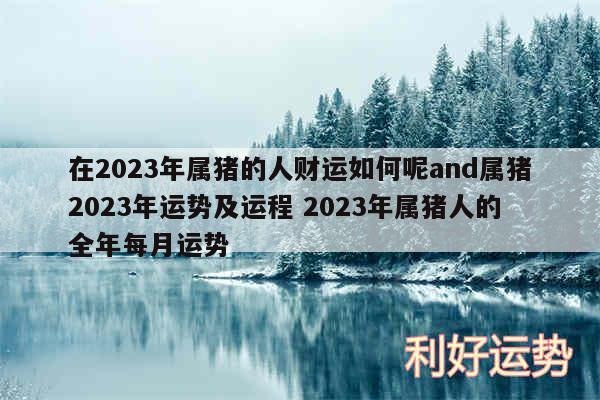 在2024年属猪的人财运如何呢and属猪2024年运势及运程 2024年属猪人的全年每月运势