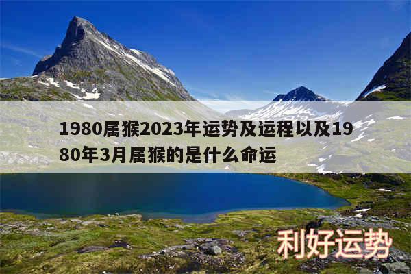 1980属猴2024年运势及运程以及1980年3月属猴的是什么命运