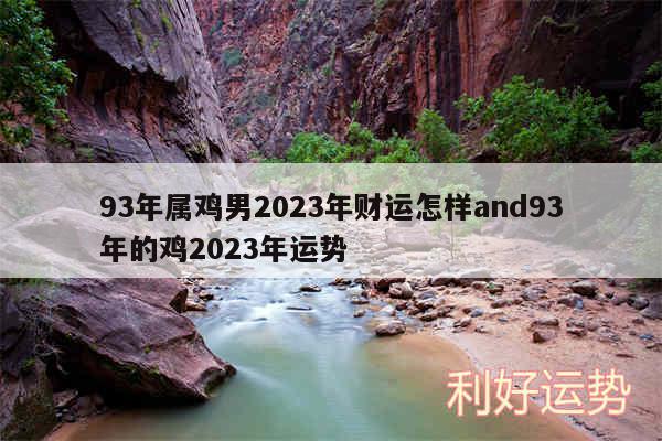 93年属鸡男2024年财运怎样and93年的鸡2024年运势