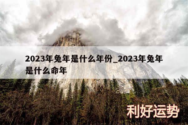 2024年兔年是什么年份_2024年兔年是什么命年