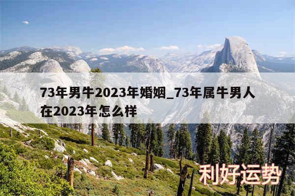 73年男牛2024年婚姻_73年属牛男人在2024年怎么样