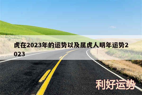 虎在2024年的运势以及属虎人明年运势2024