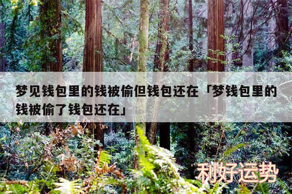 梦见钱包里的钱被偷但钱包还在及梦钱包里的钱被偷了钱包还在