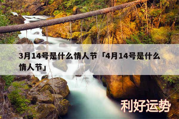 3月14号是什么情人节及4月14号是什么情人节