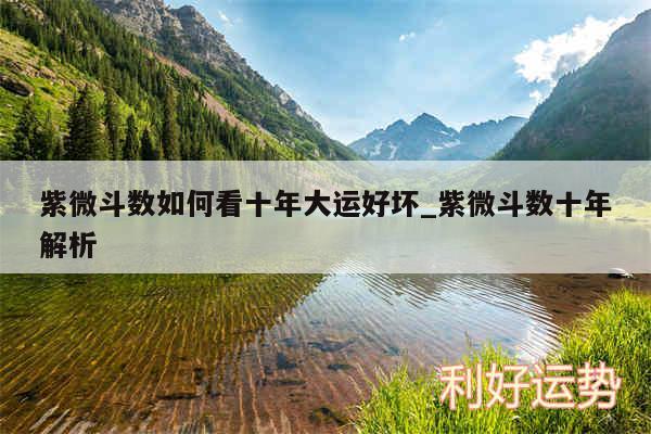 紫微斗数如何看十年大运好坏_紫微斗数十年解析