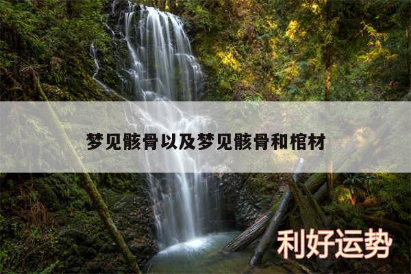 梦见骸骨以及梦见骸骨和棺材