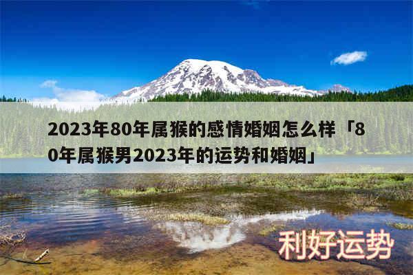 2024年80年属猴的感情婚姻怎么样及80年属猴男2024年的运势和婚姻