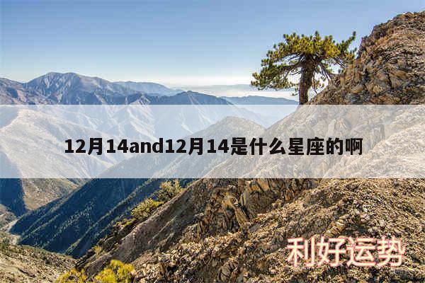 12月14and12月14是什么星座的啊