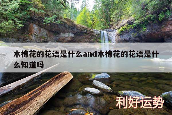 木棉花的花语是什么and木棉花的花语是什么知道吗