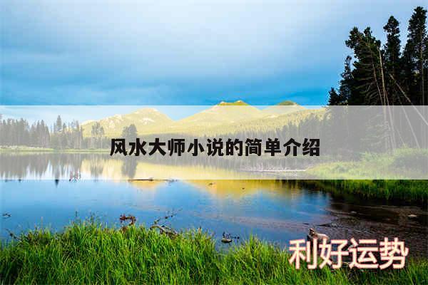 风水大师小说的简单介绍